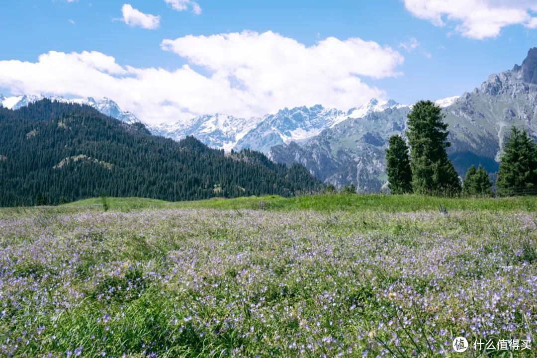 自驾穿越天山地理走廊 半废弃国防公路新疆S101全程游记