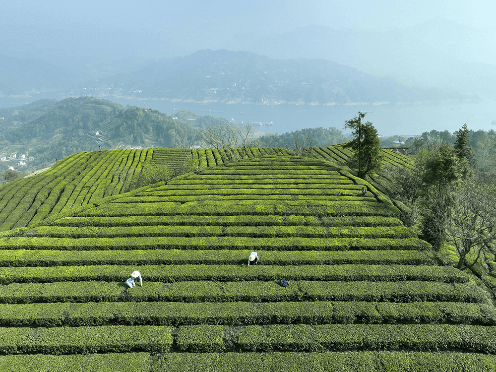 长高需要这几方面做对，20岁之后也能长高！